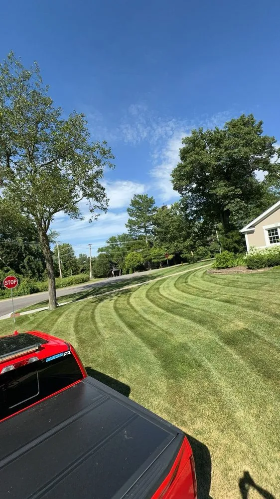 Local yard cleanup service in Woodridge, IL by D&N Lawncare