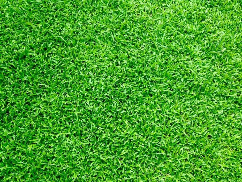Local outdoor landscaping for beautiful yards across Willisville, IL - D&N Mowing And Yard Clean Up