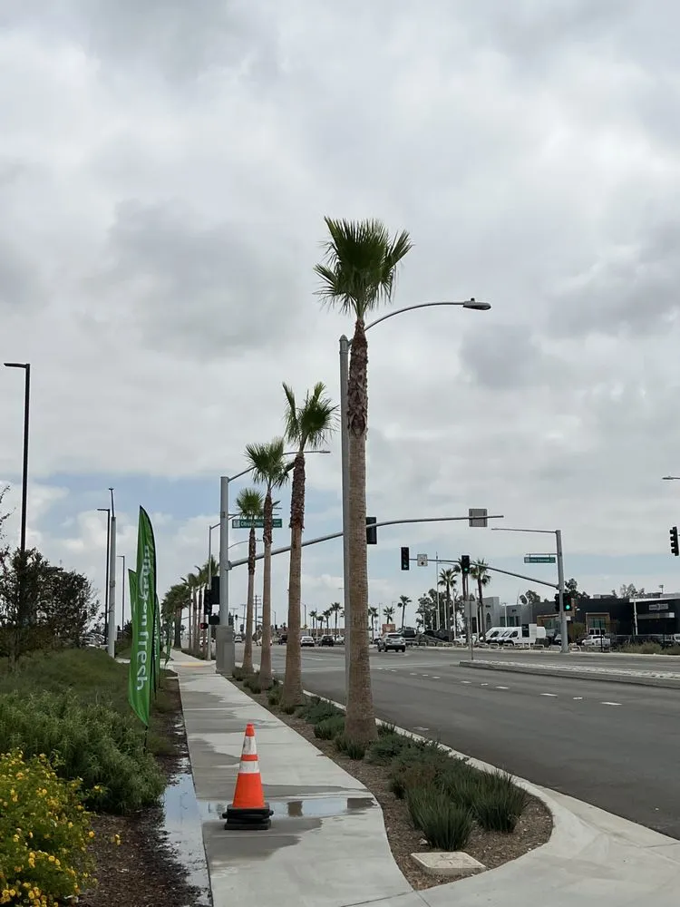 Custom landscape design near you in Ontario, CA by D&N Tree Care