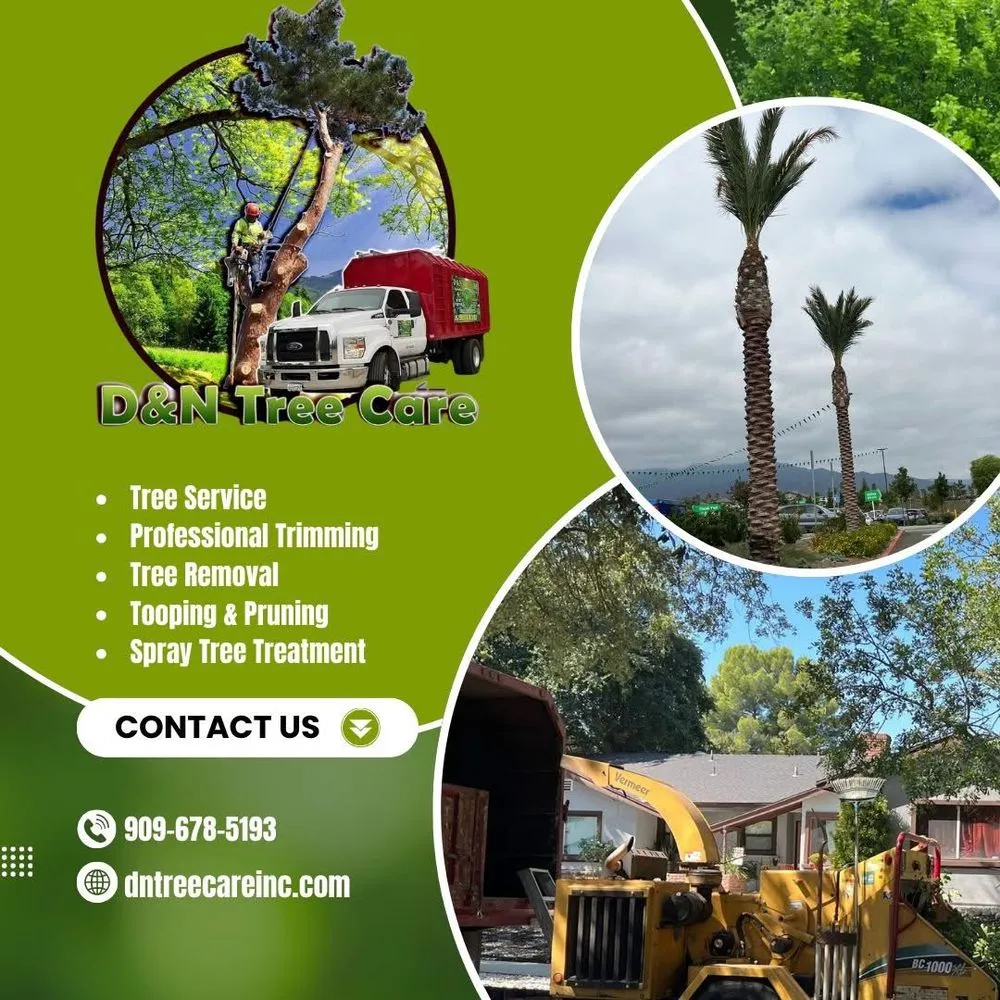 Custom yard cleanup service for residential properties in Ontario, CA by D&N Tree Care