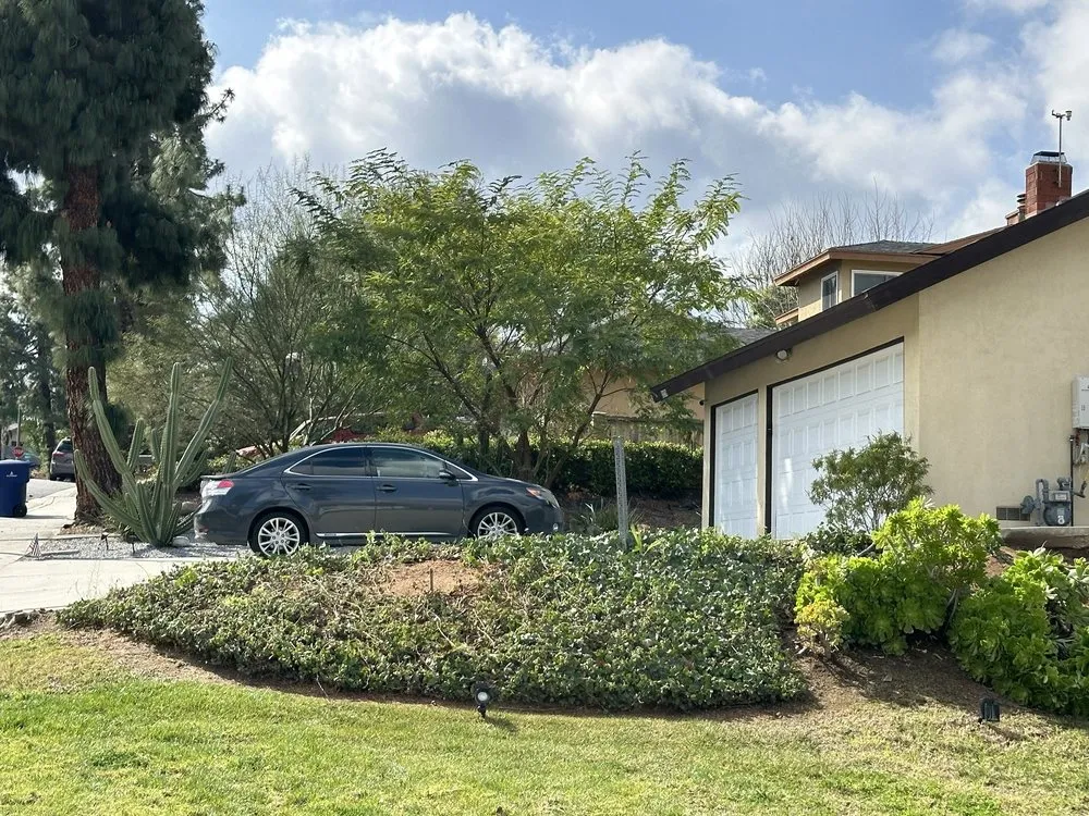 Expert yard maintenance in Ontario, CA by D&N Tree Care