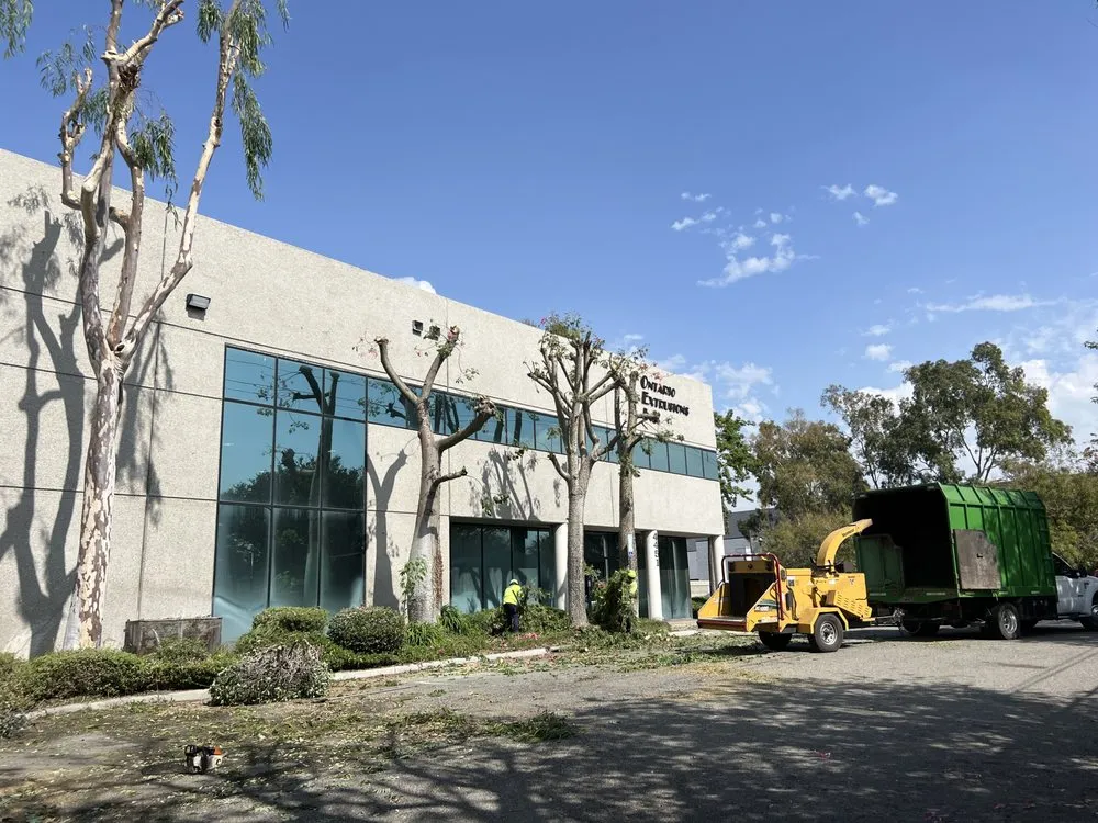 Trusted residential landscaping in Ontario, CA - D&N Tree Care