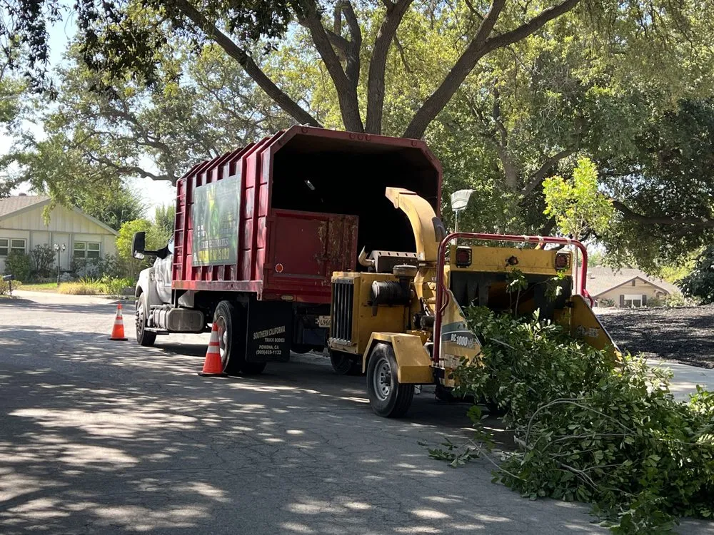 Reliable lawn mowing service experts serving Ontario, CA - D&N Tree Care