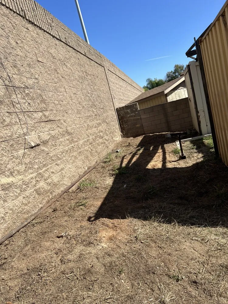 Local yard cleanup service for beautiful yards across Ontario, CA - D&N Tree Care