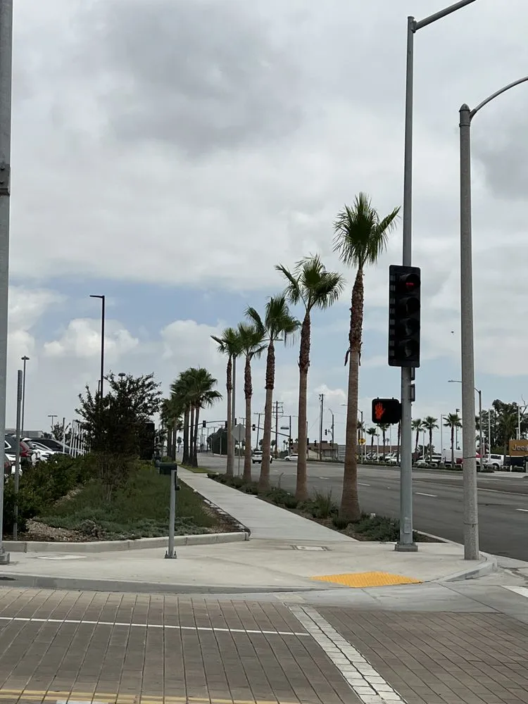 Reliable yard maintenance in Ontario, CA by D&N Tree Care