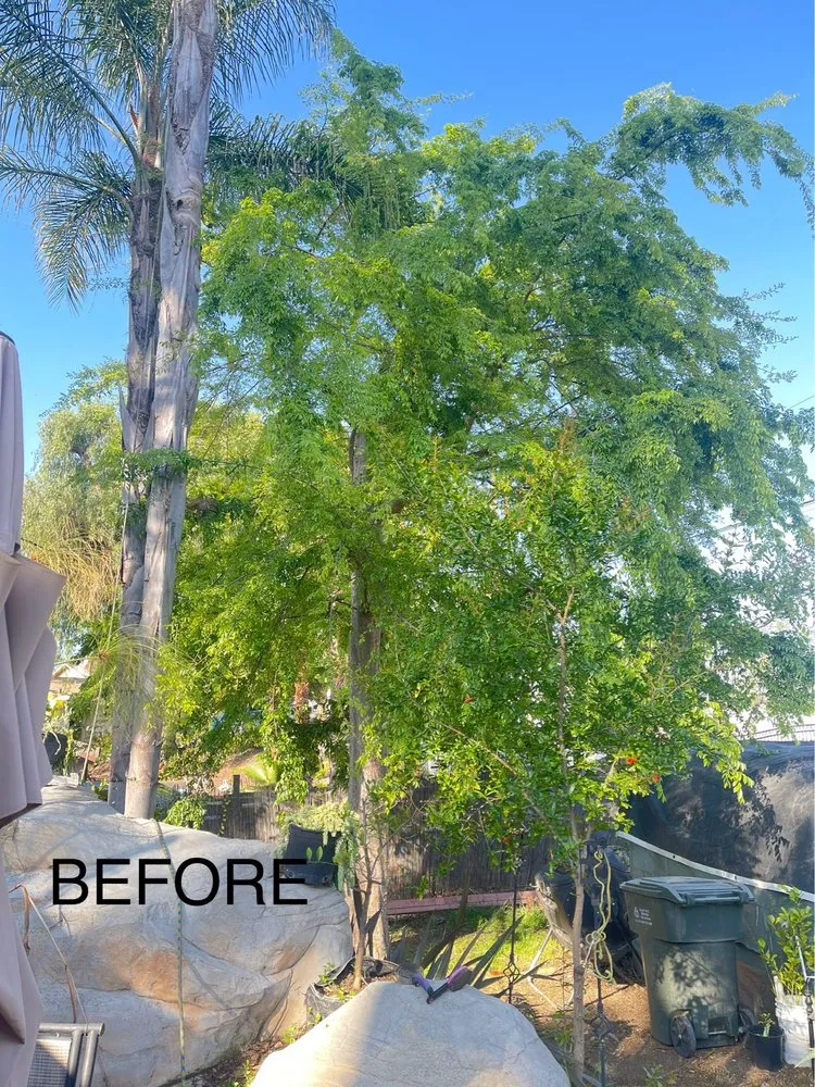 Trusted outdoor landscaping in Ontario, CA by D&N Tree Care