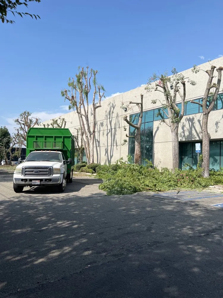 Expert garden landscaping with custom design across Ontario, CA - D&N Tree Care