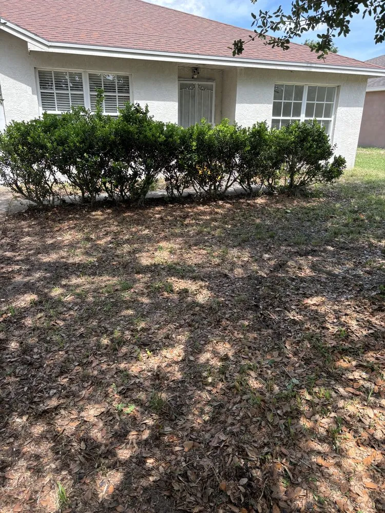 Top-rated lawn care service in Polk City, FL by DNA Aesthetics