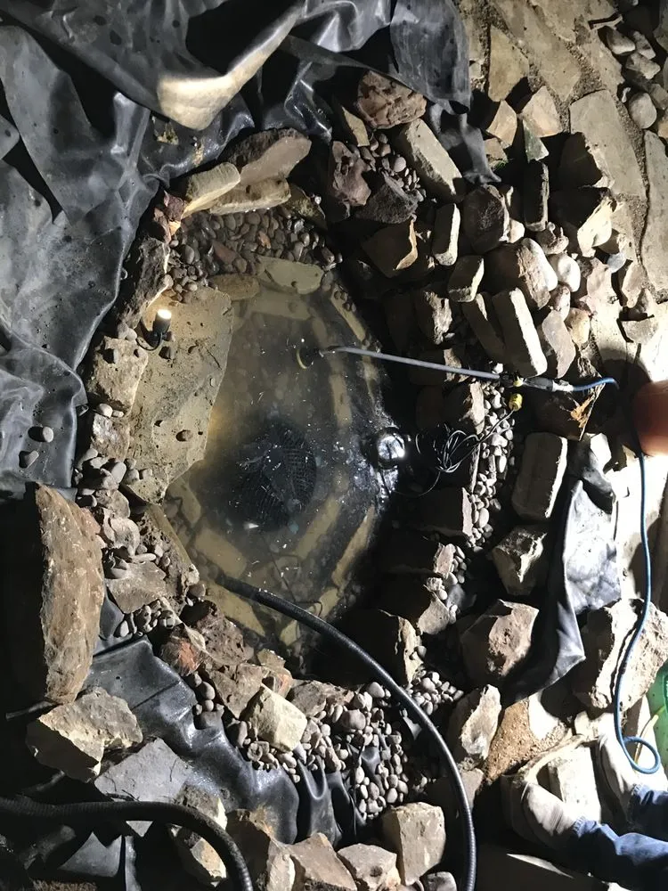 Expert landscape design in Dallas, TX by DNA Fencing And Landscape