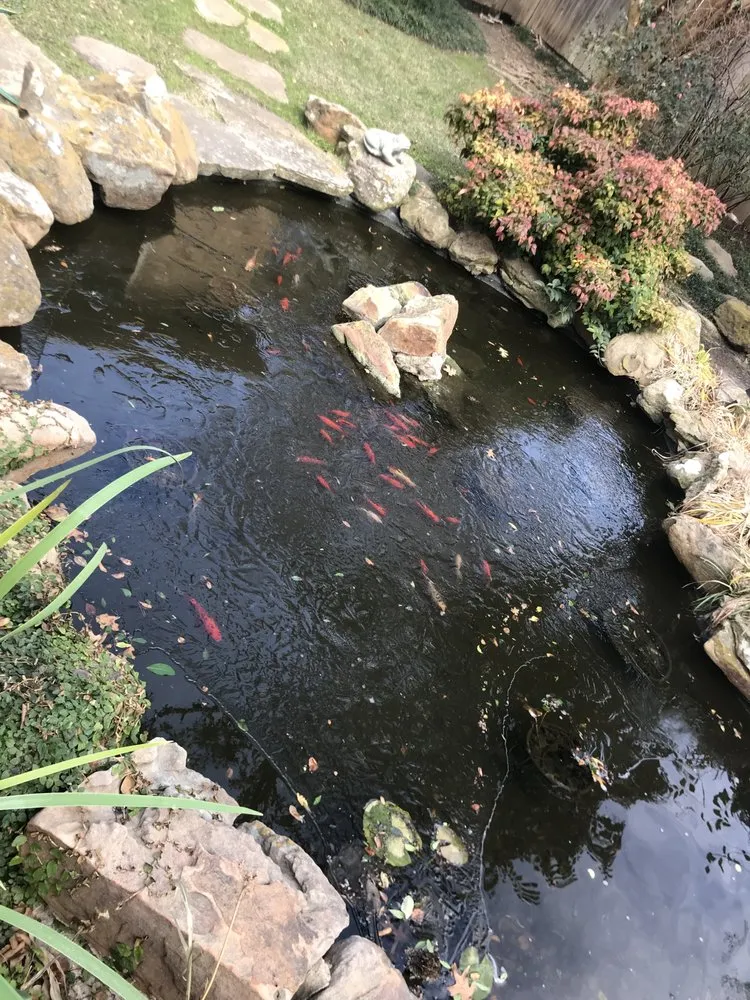 Professional landscape installation experts serving Dallas, TX - DNA Fencing And Landscape