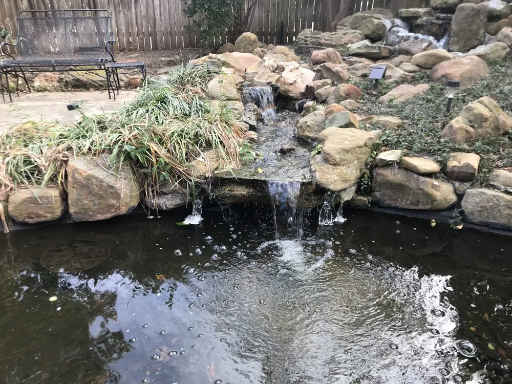 Expert lawn care service near you in Dallas, TX by DNA Fencing And Landscape