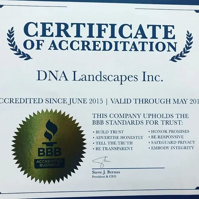 Expert residential landscaping for year-round maintenance in Hanover Park, IL by DNA Landscapes