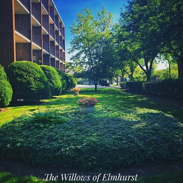 Trusted landscape design in Hanover Park, IL by DNA Landscapes