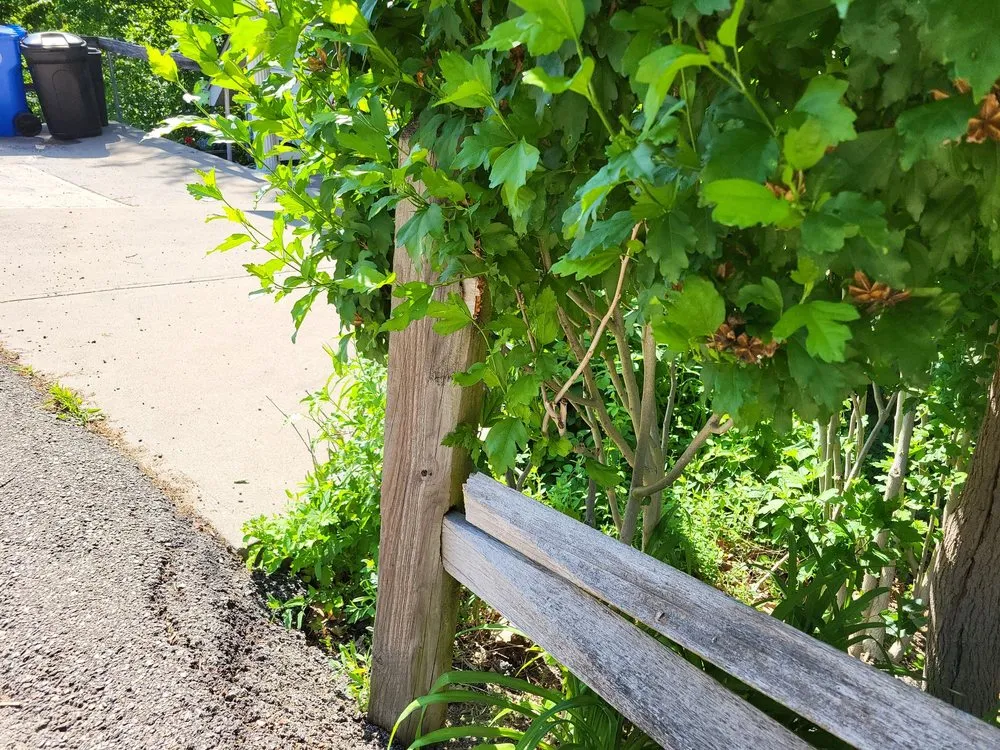 Expert outdoor landscaping in Bridgeville, PA by DNA Landscaping