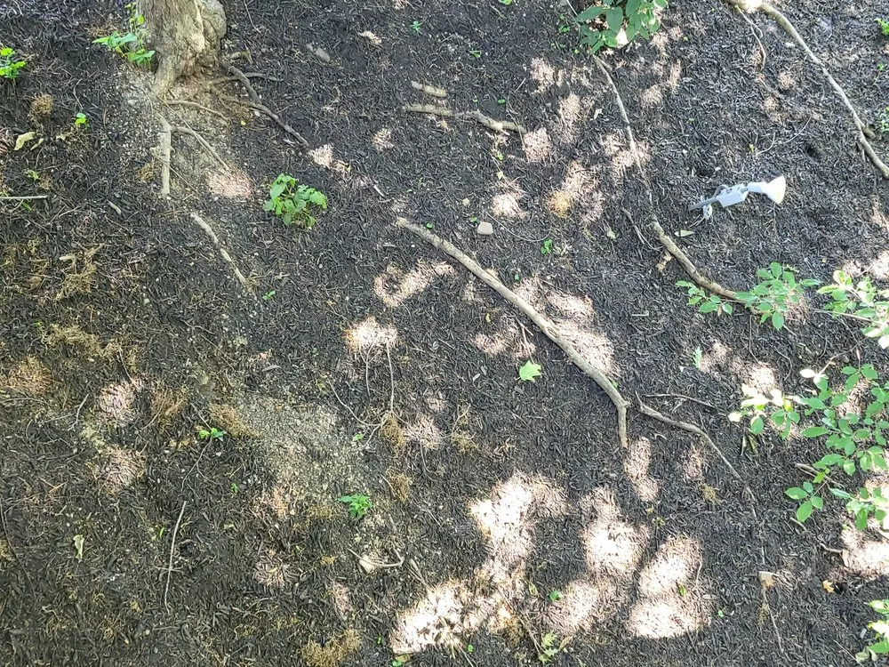 Trusted garden landscaping in Bridgeville, PA - DNA Landscaping