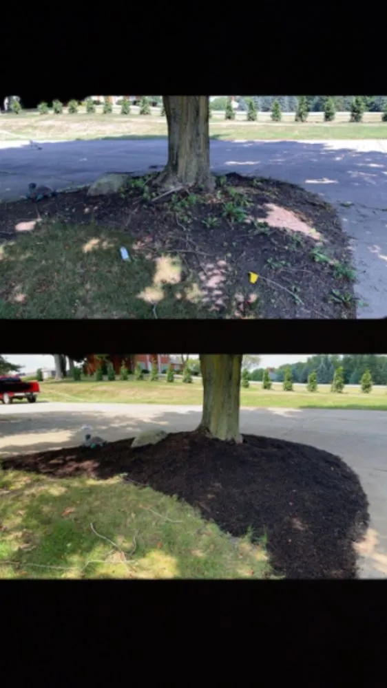 Custom lawn care service for homes across North Canton, OH - DNA Landscaping