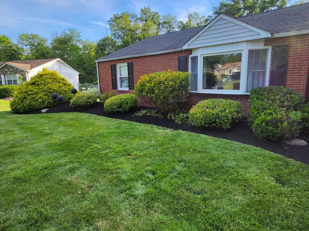 Trusted yard cleanup service experts serving Red Hill, PA - DNA Landscaping