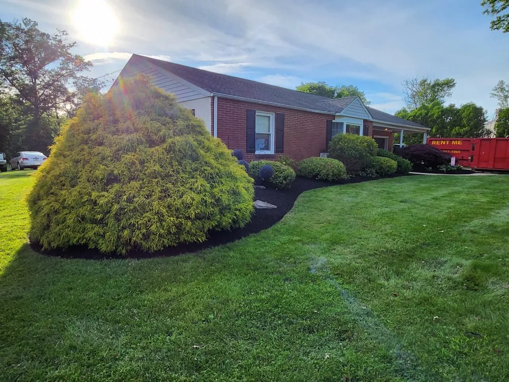 Expert yard cleanup service in Red Hill, PA by DNA Landscaping
