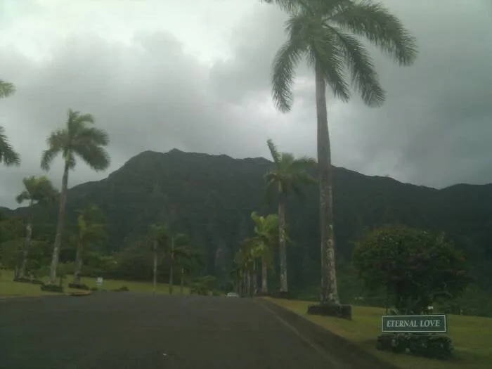 Trusted residential landscaping for residential properties across Red Hill, PA - DNA Landscaping