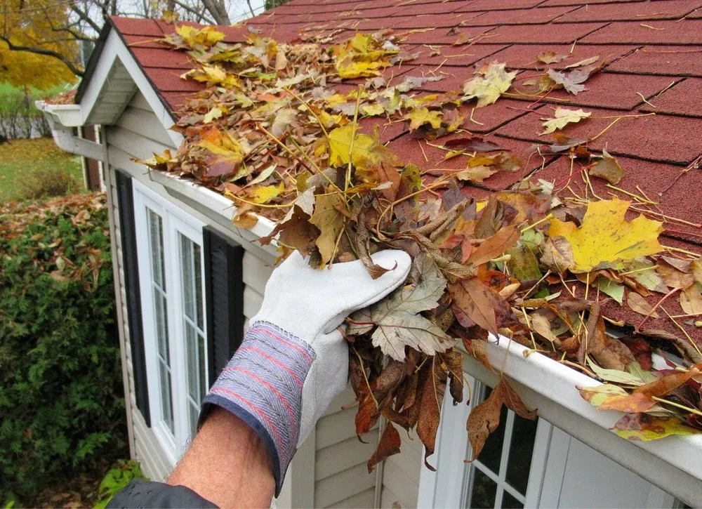 Trusted yard cleanup service with custom design across Spring Glen, NY - Dna Landscaping