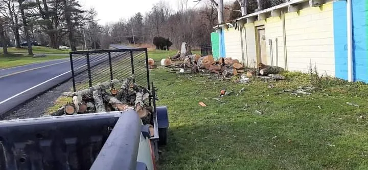 Custom garden landscaping in Spring Glen, NY - Dna Landscaping