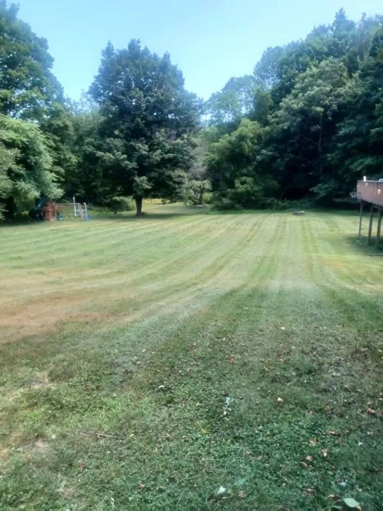 Reliable yard cleanup service in Spring Glen, NY by Dna Landscaping