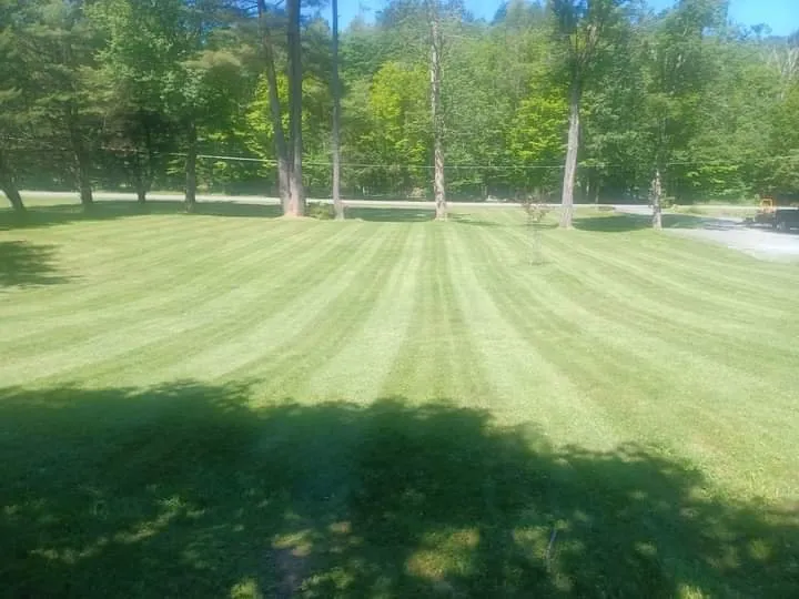 Local landscape design in Spring Glen, NY by Dna Landscaping