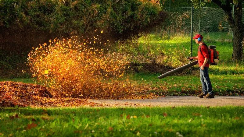 Reliable lawn care service for outdoor upgrades in Spring Glen, NY by Dna Landscaping