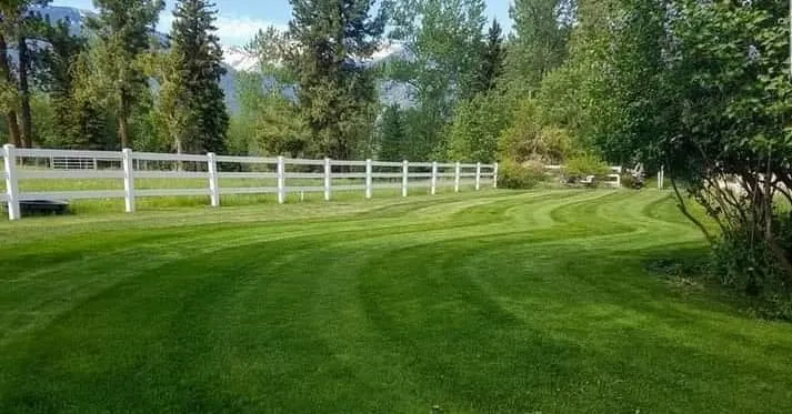 Trusted yard cleanup service in Spring Glen, NY by Dna Landscaping
