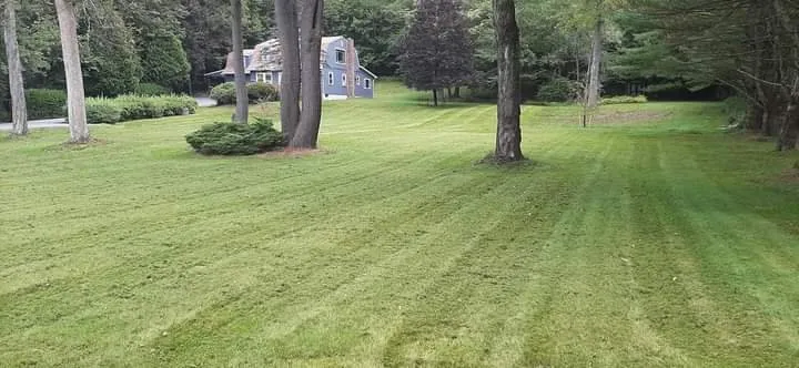 Local garden landscaping near you across Spring Glen, NY - Dna Landscaping