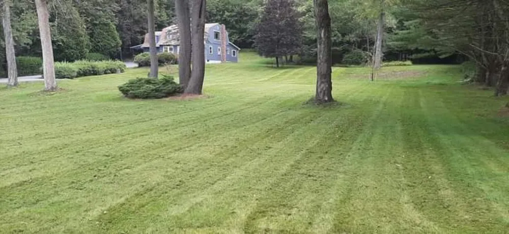 Local lawn mowing service for outdoor upgrades in Spring Glen, NY by Dna Landscaping