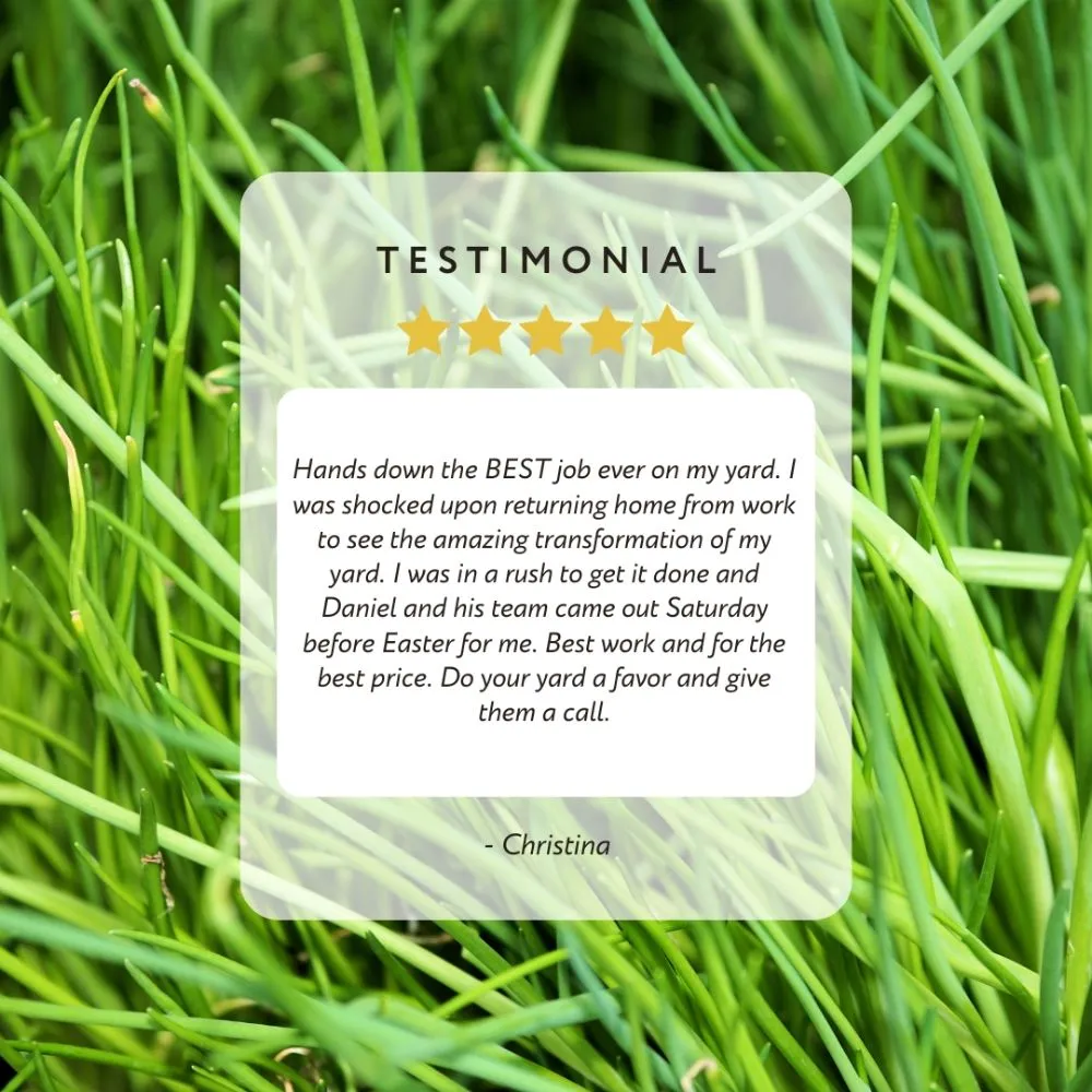 Top-rated outdoor landscaping in Tampa, FL - DNA Landscaping