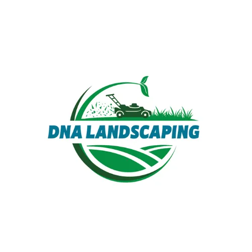 Custom landscaping services near you in Tampa, FL by DNA Landscaping