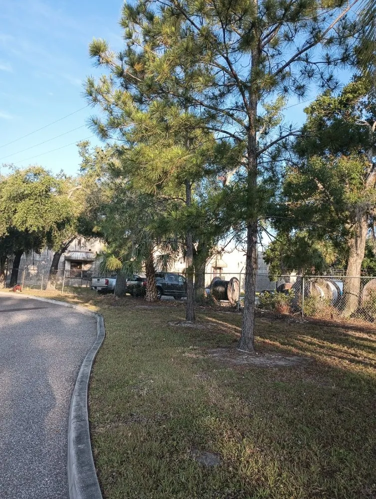 Top-rated landscape design in Tampa, FL - DNA Landscaping