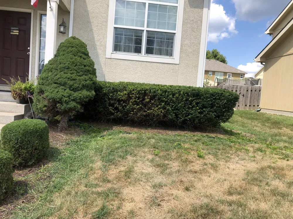 Reliable lawn care service in Leavenworth, KS by DNA lawn care