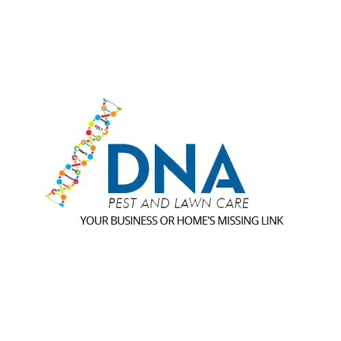 Custom landscape installation for residential properties in Azle, TX by DNA Pest and Lawn Care