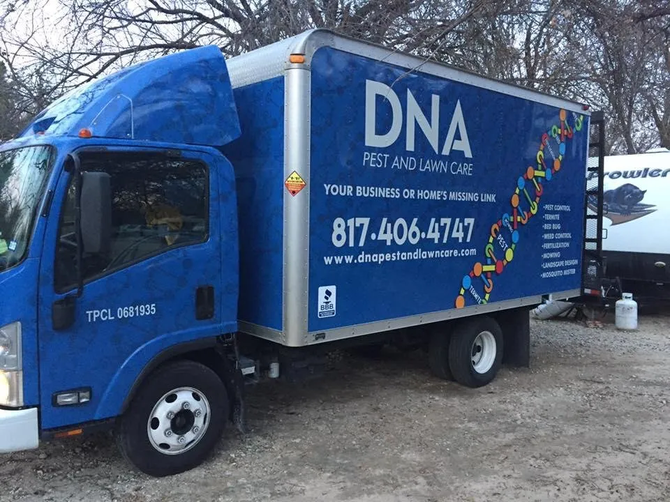 Reliable yard cleanup service with custom design across Azle, TX - DNA Pest and Lawn Care