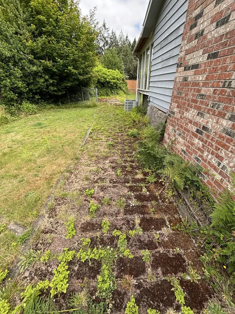 Reliable residential landscaping experts serving Tacoma, WA - DNA Tree And Landscaping