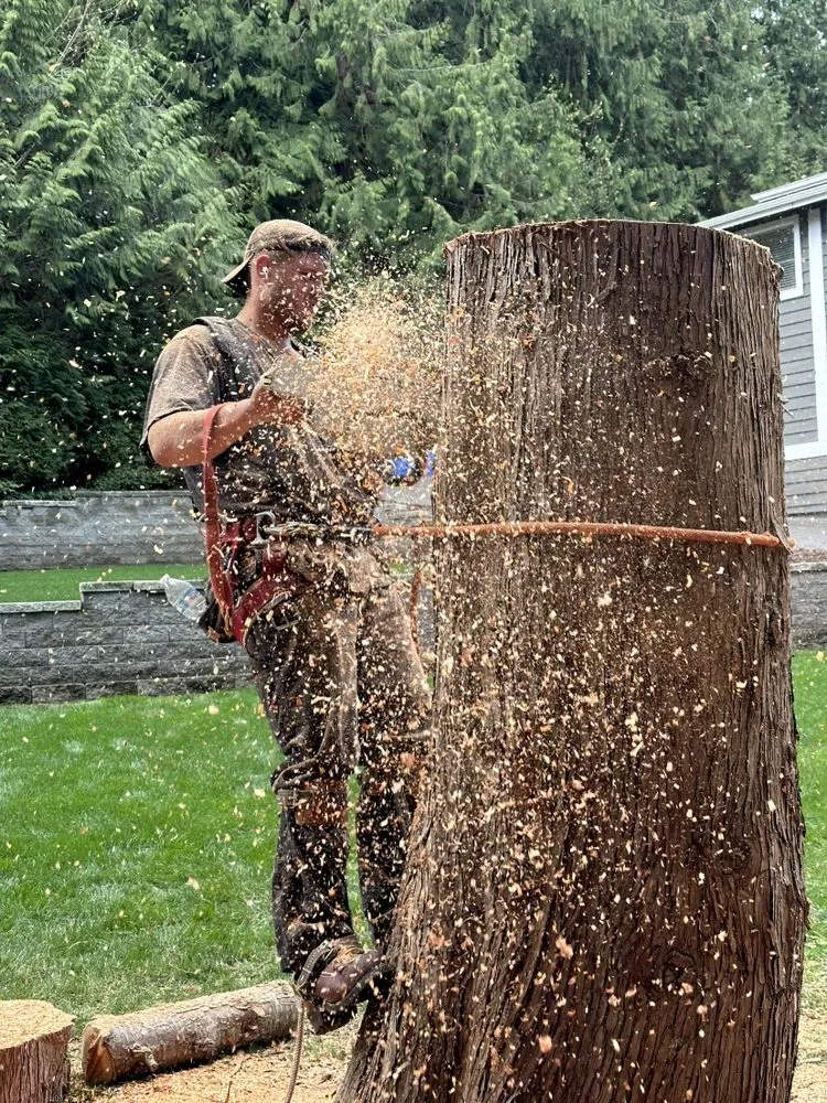 Expert garden landscaping in Tacoma, WA - DNA Tree And Landscaping