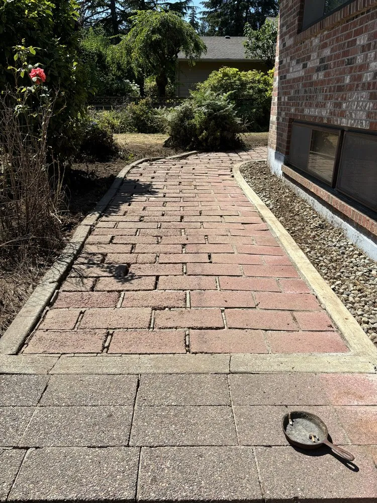 Reliable yard maintenance for homes across Tacoma, WA - DNA Tree And Landscaping