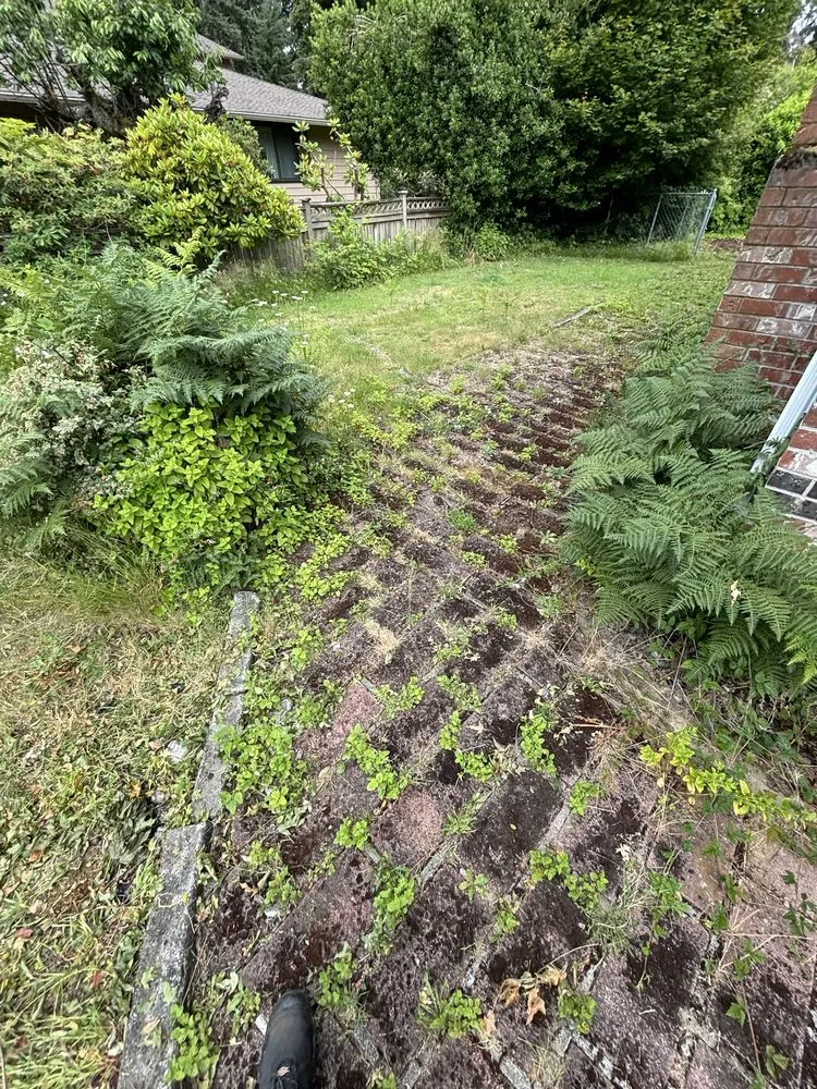 Custom garden landscaping experts serving Tacoma, WA - DNA Tree And Landscaping