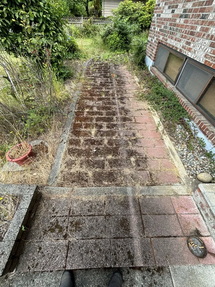 Trusted garden landscaping in Tacoma, WA - DNA Tree And Landscaping