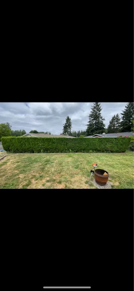 Local lawn care service near you in Tacoma, WA by DNA Tree And Landscaping