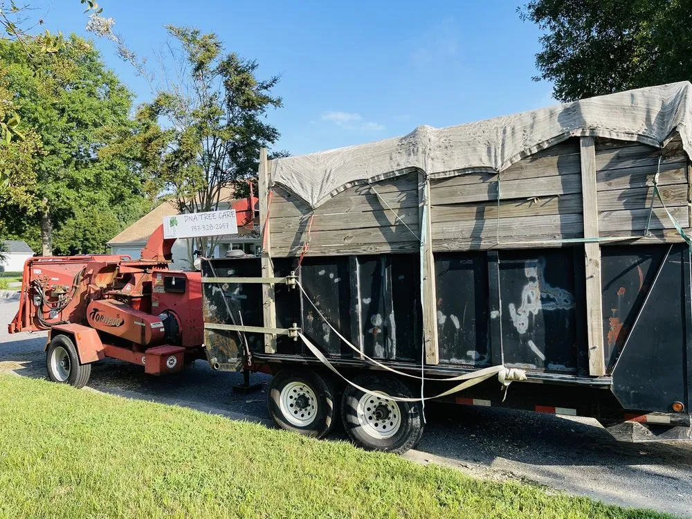 Reliable yard maintenance near you across Virginia Beach, VA - DNA Tree Care & Landscapes