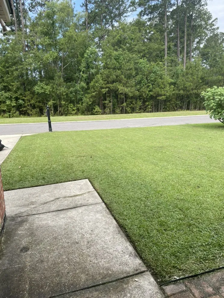 Expert landscape installation for year-round maintenance across Denham Springs, LA - DNA’s Lawn Care