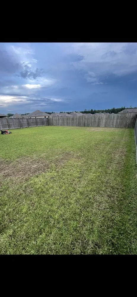 Reliable residential landscaping in Denham Springs, LA - DNA’s Lawn Care