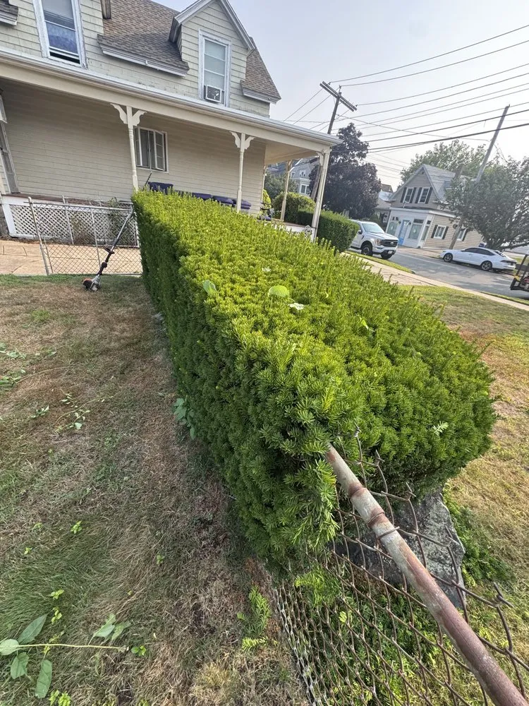 Top-rated residential landscaping for homes in Lynn, MA by DND Landscaping