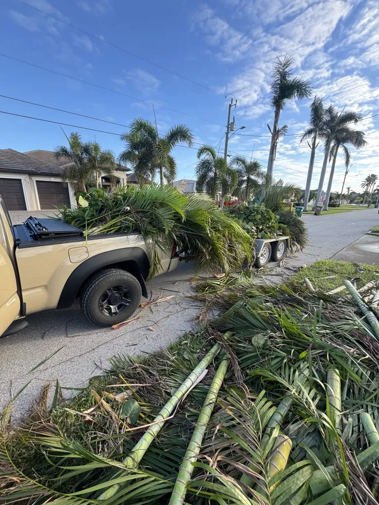Expert yard maintenance for residential properties across St. Petersburg, FL - Dnd Landscaping