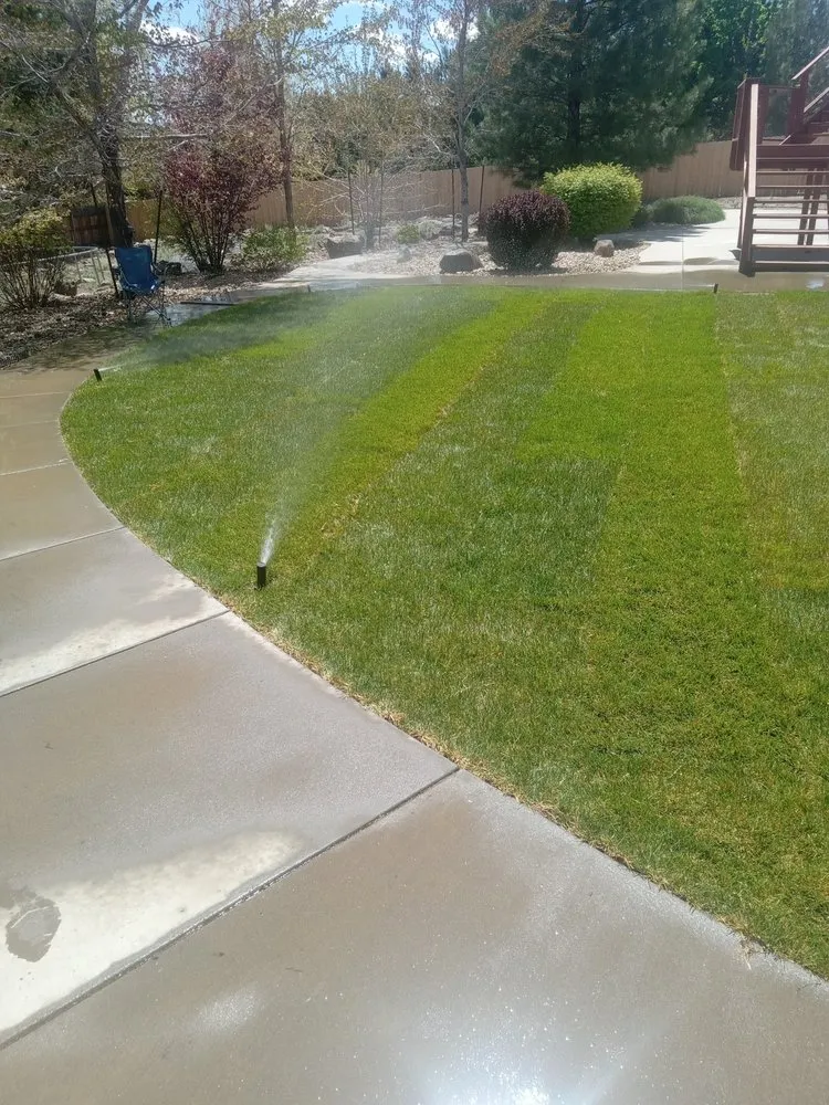 Custom landscape design for beautiful yards across Sun Valley, NV - DnD Landscaping