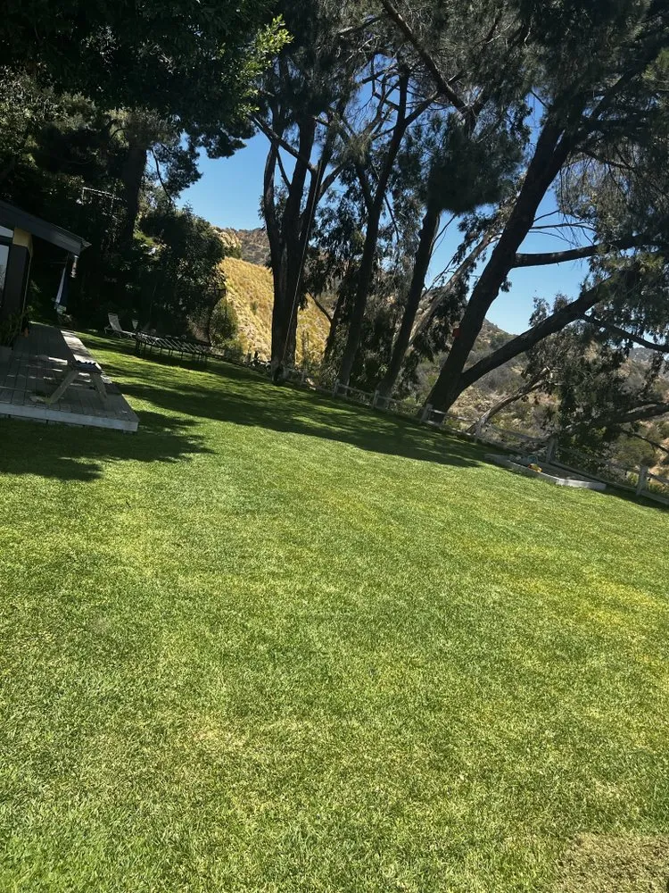 Expert landscape design experts serving Los Angeles, CA - DnG Landscaping